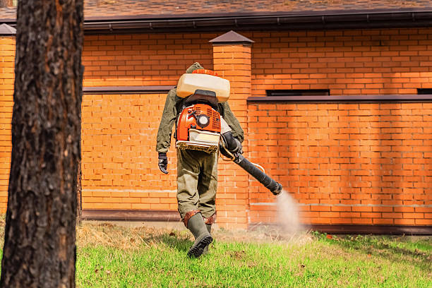 Trusted Emergency Pest Control service in Bald Knob, AR - Nex Pest Control